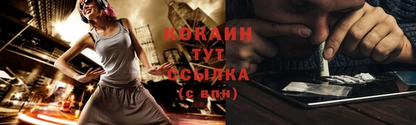 индика Осташков