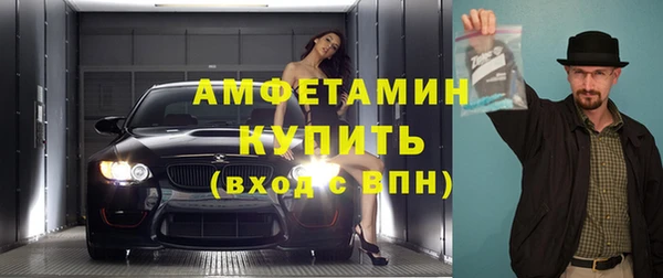индика Осташков
