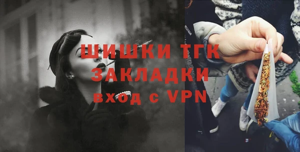 трава Осинники