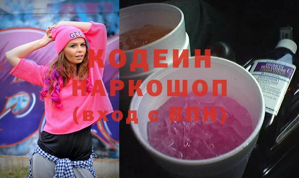 индика Осташков