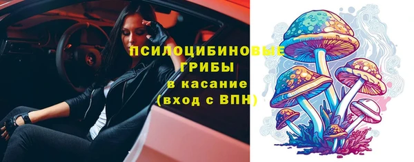 прущая мука Няндома