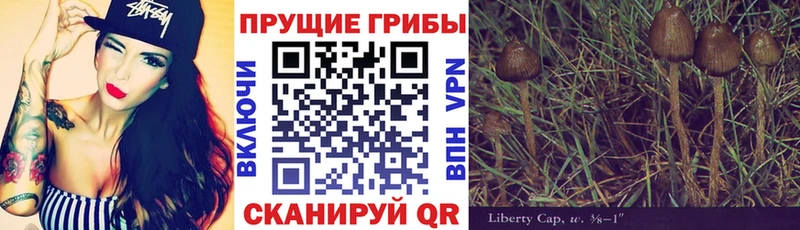 Галлюциногенные грибы мухоморы  где найти наркотики  Киселёвск 